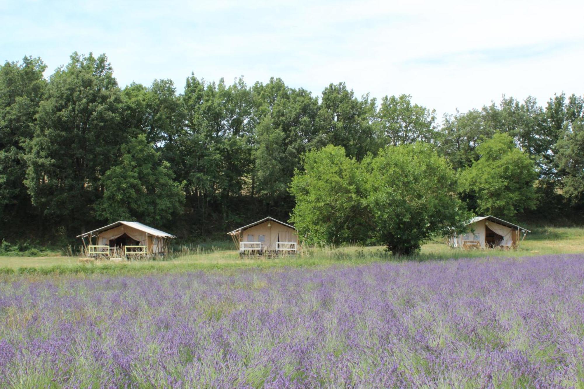 Les Ânes de Forcalquier Exterior foto