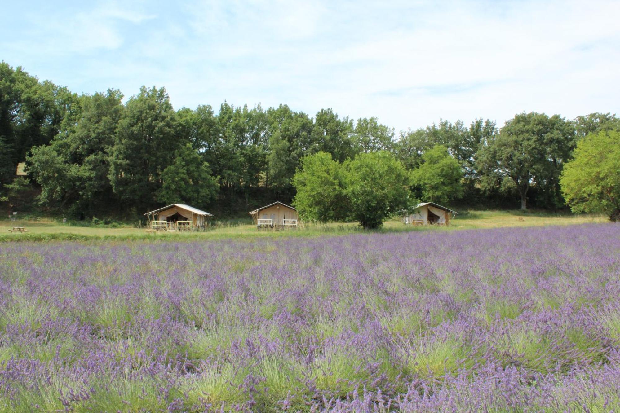 Les Ânes de Forcalquier Exterior foto
