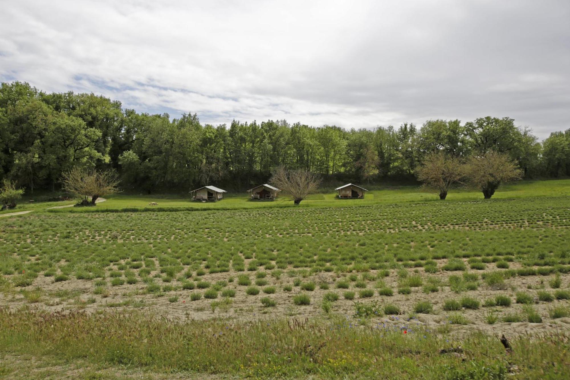 Les Ânes de Forcalquier Exterior foto