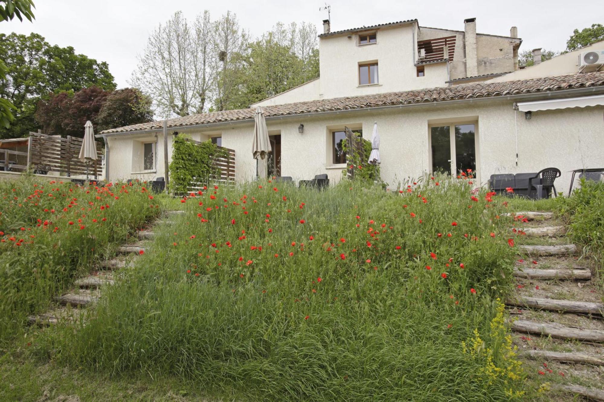 Les Ânes de Forcalquier Quarto foto